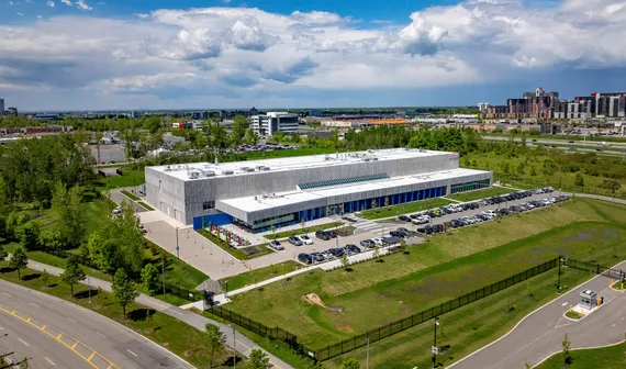 Kestria institute | Diriger avec une vision: la culture au cœur d'un leadership durable