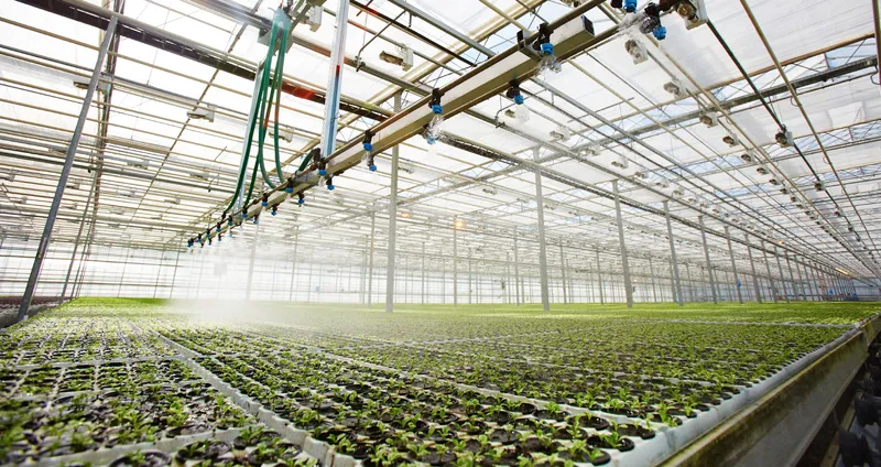 Agribusiness & Agriscience Executive Search