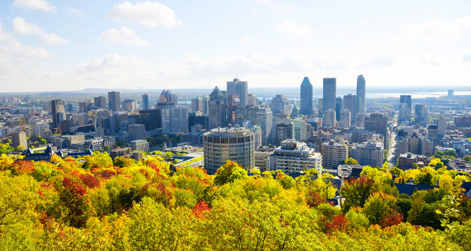 Executive Search in Montreal: - Building Strong Leadership Teams in a Bilingual Market